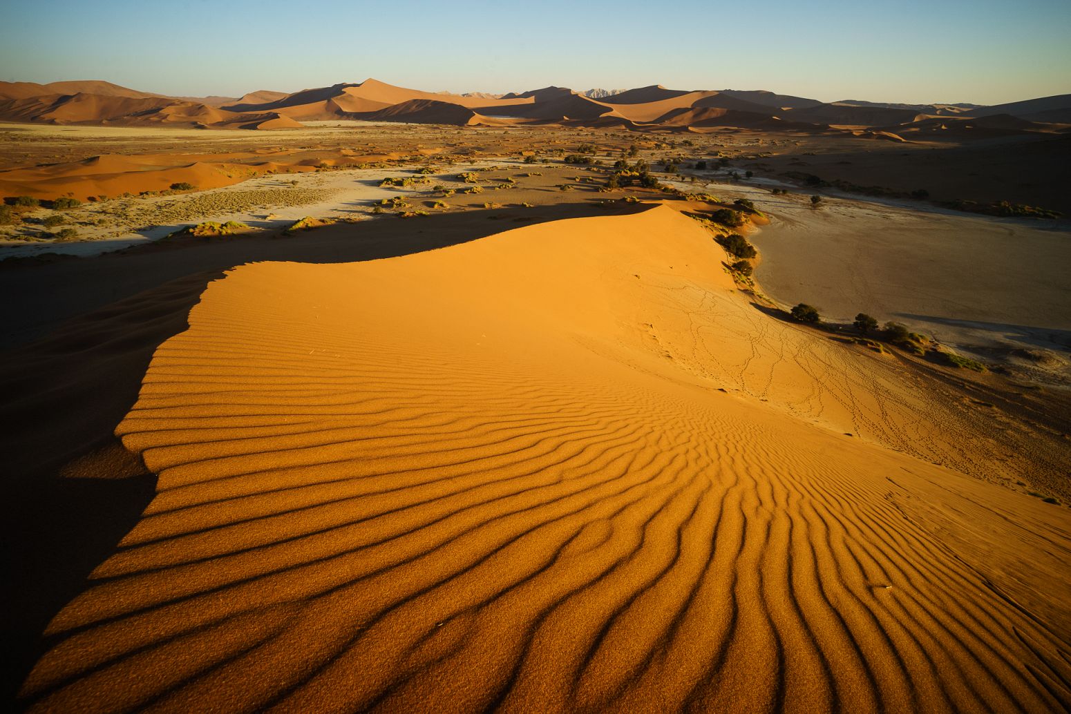 Big Mamma Dune, Sossusvlei, Namibia